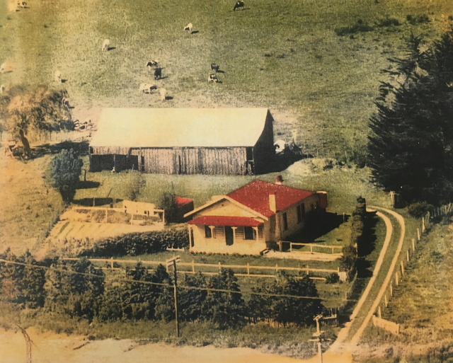 View of Thomas Rodgers' farm, Rangitikei Line.