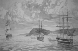 The Aurora arriving in Wellington.