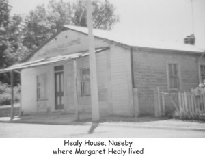 Healy House, Naseby